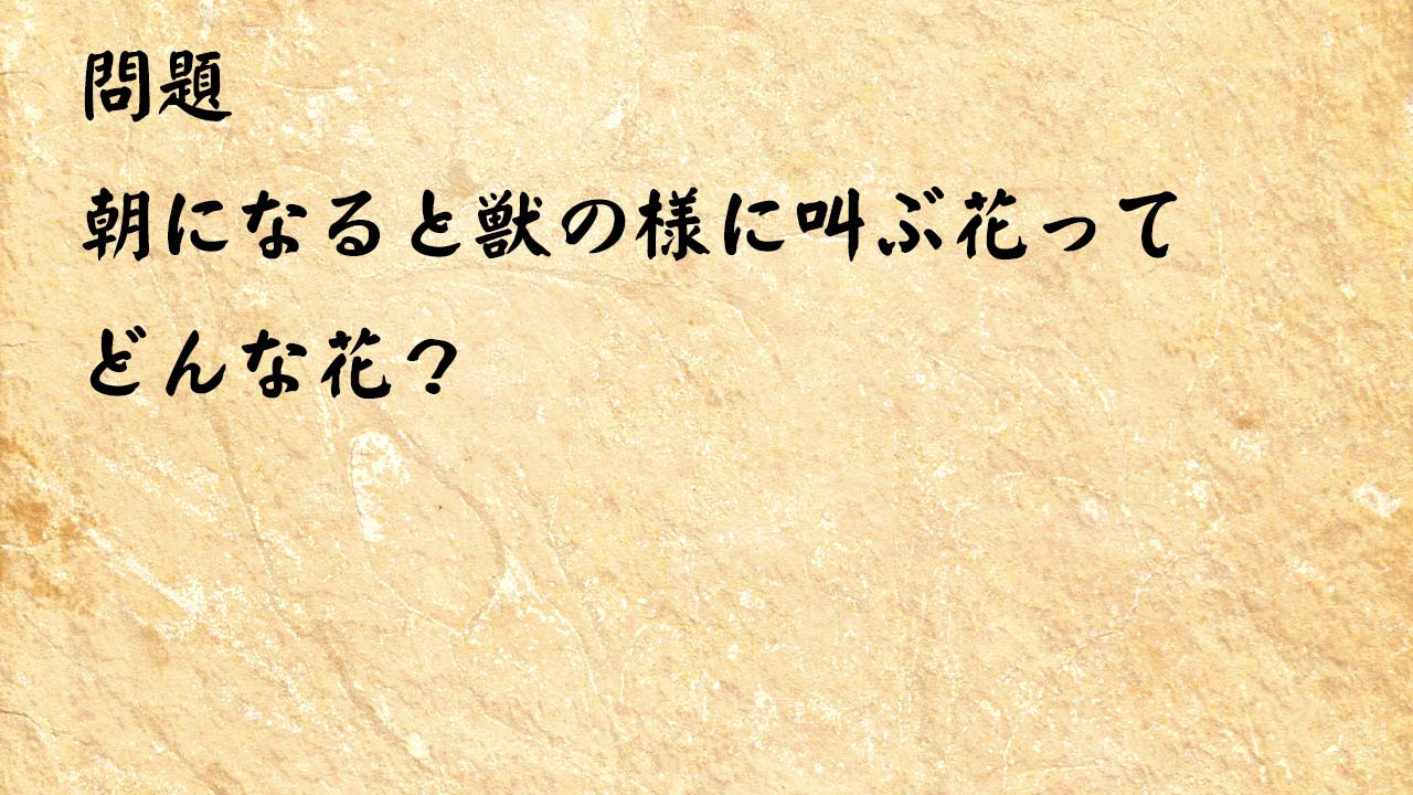 なぞなぞ高齢者介護　朝になると獣の様に叫ぶ花ってどんな花？