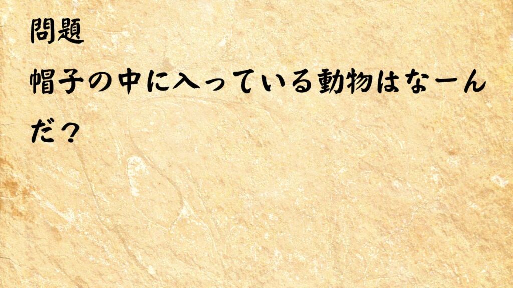 なぞなぞ簡単　帽子の中に入っている動物はなーんだ？