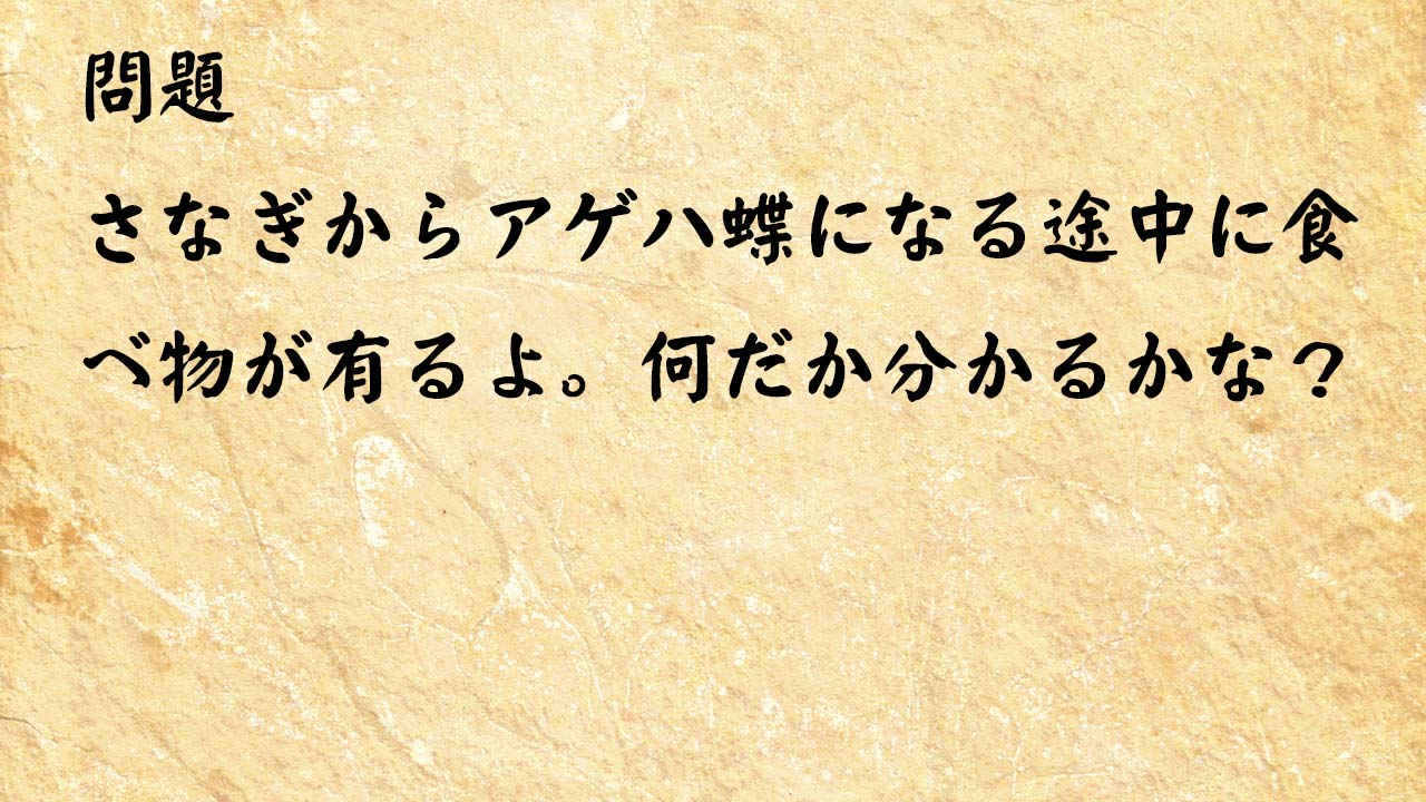 なぞなぞ頭の体操　さなぎからアゲハ蝶になる途中に食べ物が有るよ。何だか分かるかな？