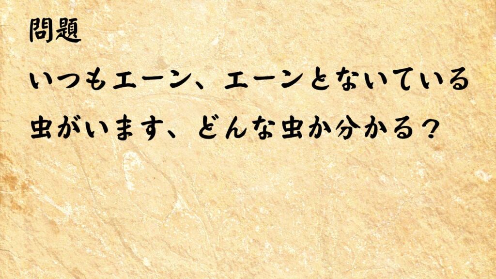 なぞなぞ簡単　いつもエーン、エーンとないている虫がいます、どんな虫か分かる？