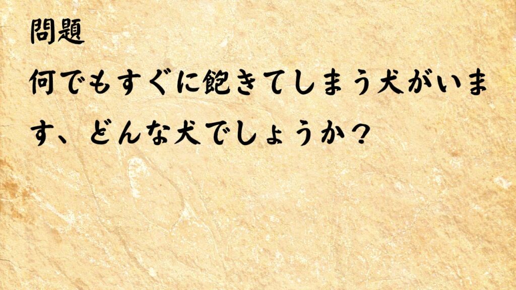 なぞなぞ高齢者介護　何でもすぐに飽きてしまう犬がいます、どんな犬でしょうか？