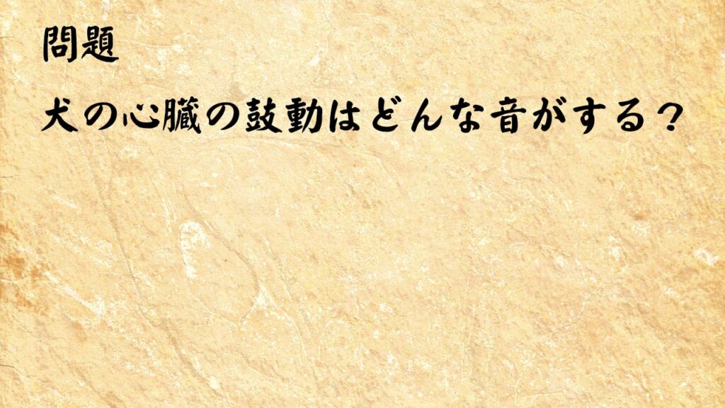 なぞなぞ簡単　犬の心臓の鼓動はどんな音がする？