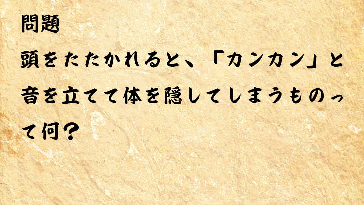 なぞなぞ簡単　頭をたたかれると、「カンカン」と音を立てて体を隠してしまうものって何？